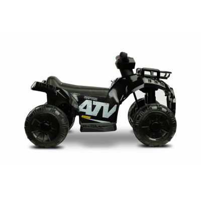 ATV electric Toyz Mini Raptor 6V negru